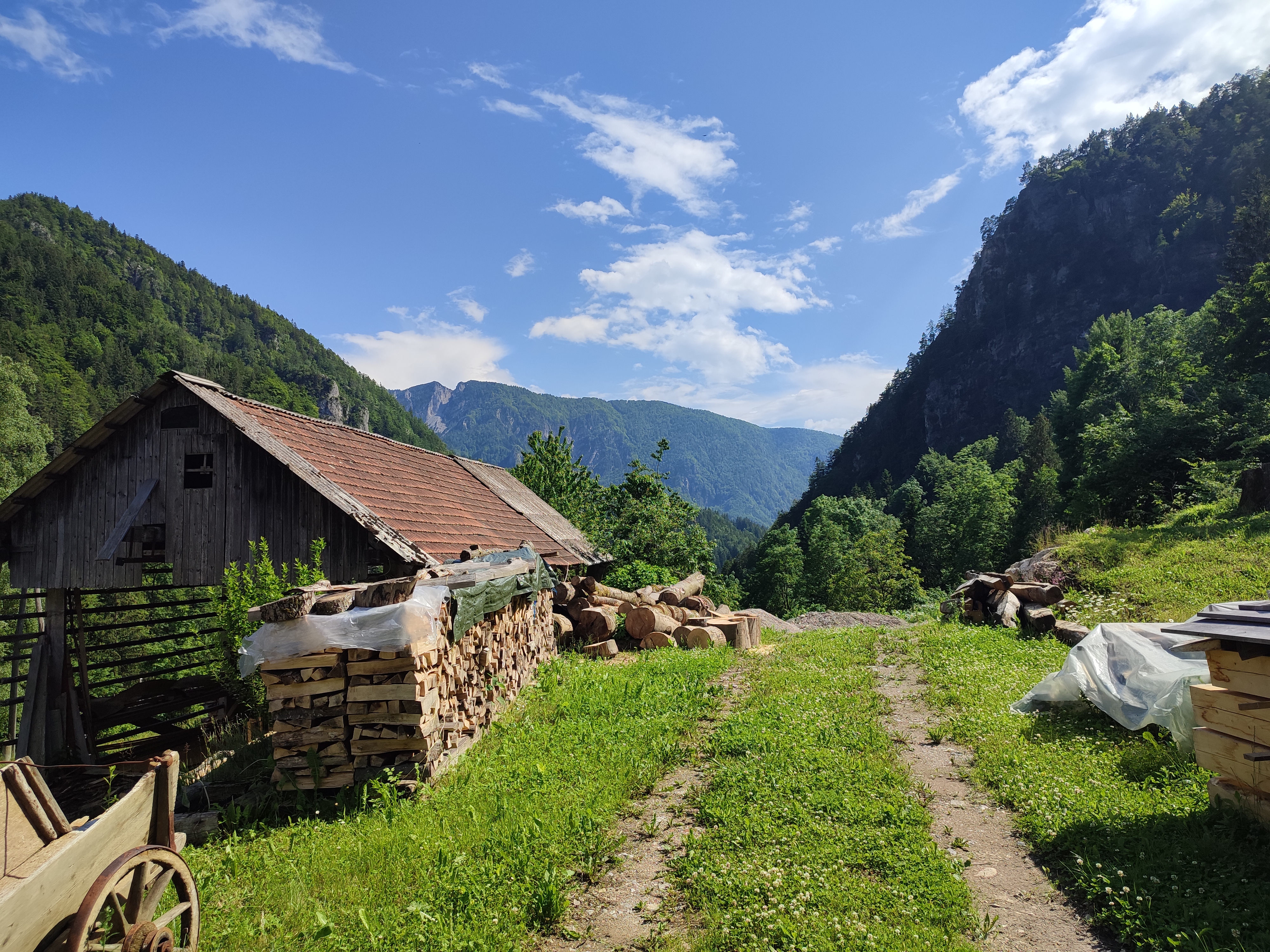 View from the living area